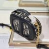 DIOR CD SIGNATURE OVAL CAMERA BAG