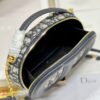 DIOR CD SIGNATURE OVAL CAMERA BAG