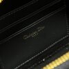 DIOR CD SIGNATURE OVAL CAMERA BAG