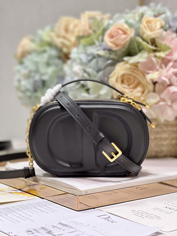 DIOR CD SIGNATURE OVAL CAMERA BAG