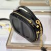 DIOR CD SIGNATURE OVAL CAMERA BAG