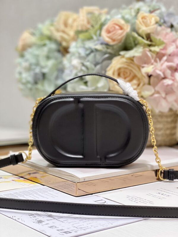 DIOR CD SIGNATURE OVAL CAMERA BAG
