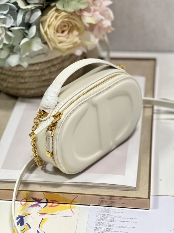 DIOR CD SIGNATURE OVAL CAMERA BAG