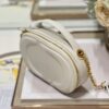 DIOR CD SIGNATURE OVAL CAMERA BAG