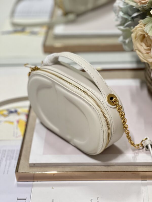 DIOR CD SIGNATURE OVAL CAMERA BAG