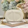 DIOR CD SIGNATURE OVAL CAMERA BAG