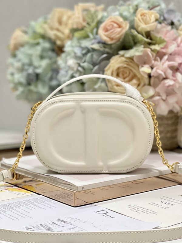 DIOR CD SIGNATURE OVAL CAMERA BAG