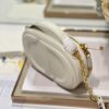 DIOR CD SIGNATURE OVAL CAMERA BAG