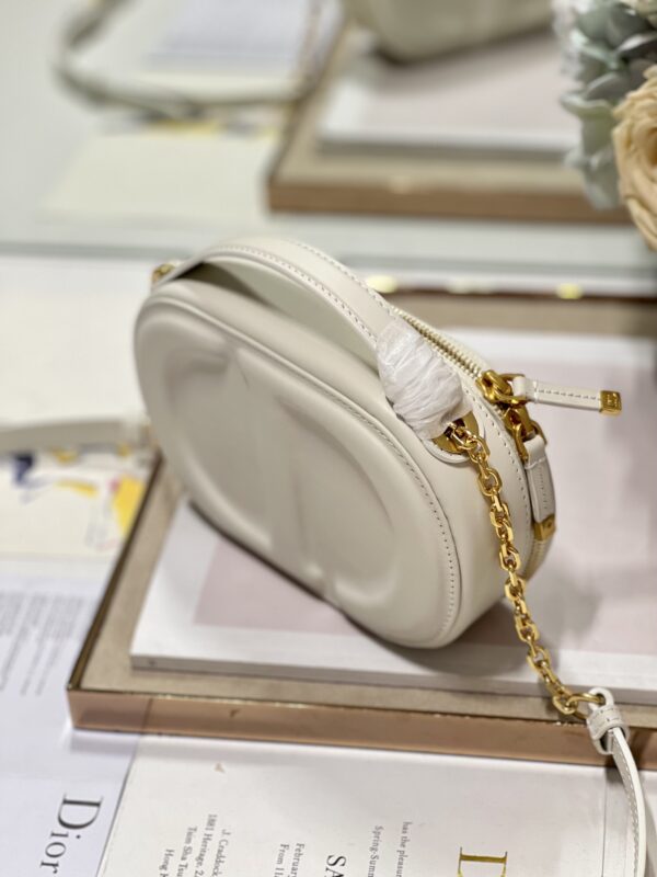 DIOR CD SIGNATURE OVAL CAMERA BAG