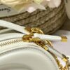 DIOR CD SIGNATURE OVAL CAMERA BAG