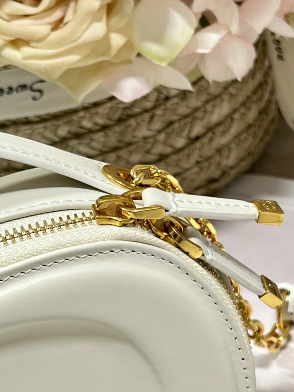 DIOR CD SIGNATURE OVAL CAMERA BAG