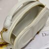DIOR CD SIGNATURE OVAL CAMERA BAG
