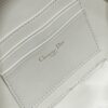 DIOR CD SIGNATURE OVAL CAMERA BAG