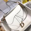 DIOR SADDLE BAG WITH STRAP