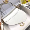 DIOR SADDLE BAG WITH STRAP