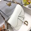 DIOR SADDLE BAG WITH STRAP