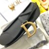 DIOR SADDLE BAG WITH STRAP