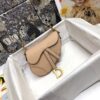 DIOR SADDLE BAG SMALL