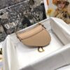 DIOR SADDLE BAG SMALL