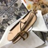 DIOR SADDLE BAG SMALL