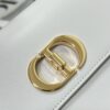 DIOR 30 MONTAIGNE AVENUE BAG