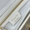 DIOR 30 MONTAIGNE AVENUE BAG