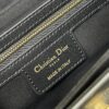 DIOR 30 MONTAIGNE AVENUE BAG