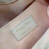 MEDIUM DIOR AMMI BAG
