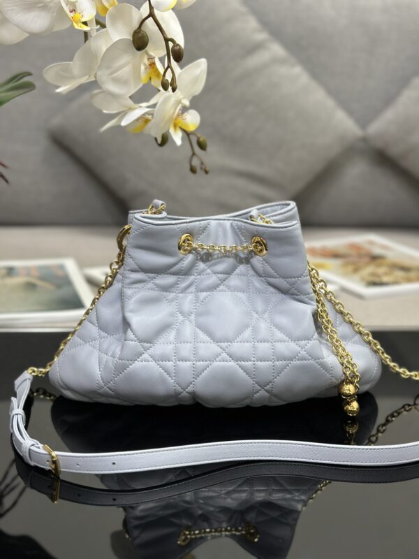 MEDIUM DIOR AMMI BAG