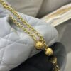 MEDIUM DIOR AMMI BAG