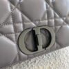 DIOR CD NEW CARO