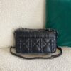 DIOR CD NEW CARO