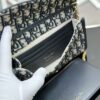 Dior Bobby East-West Pouch with Chain