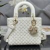 SMALL LADY DIOR