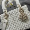 SMALL LADY DIOR