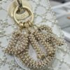 SMALL LADY DIOR