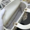 SMALL LADY DIOR