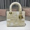 Dior Medium Lady D-Lite bag