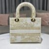 Dior Medium Lady D-Lite bag