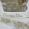 Dior Medium Lady D-Lite bag