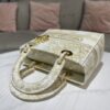 Dior Medium Lady D-Lite bag