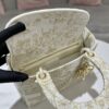 Dior Medium Lady D-Lite bag