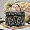 DIOR SMALL CD SIGNATURE VANITY CASE