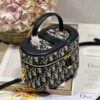 DIOR SMALL CD SIGNATURE VANITY CASE