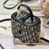 DIOR SMALL CD SIGNATURE VANITY CASE
