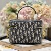DIOR SMALL CD SIGNATURE VANITY CASE