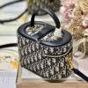 DIOR SMALL CD SIGNATURE VANITY CASE