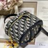 DIOR SMALL CD SIGNATURE VANITY CASE