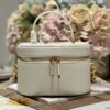 DIOR SMALL CD SIGNATURE VANITY CASE