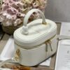 DIOR SMALL CD SIGNATURE VANITY CASE